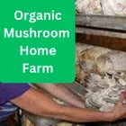 Escape Indoctrination Wellness Bundle with Singing Bowl & Mushroom Gummies